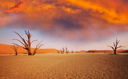 Deadvlei, Namibië